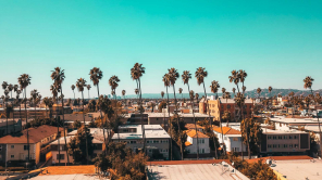 Palm trees along some buildings in Santa Monica