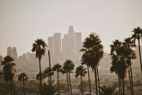 A skyline view of Los Angeles showcases tall skyscrapers in the background and several palm trees