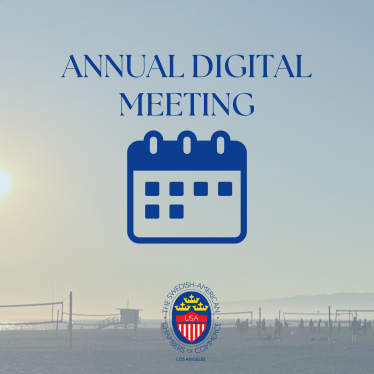 instagram-events-fall25-square-pillow1