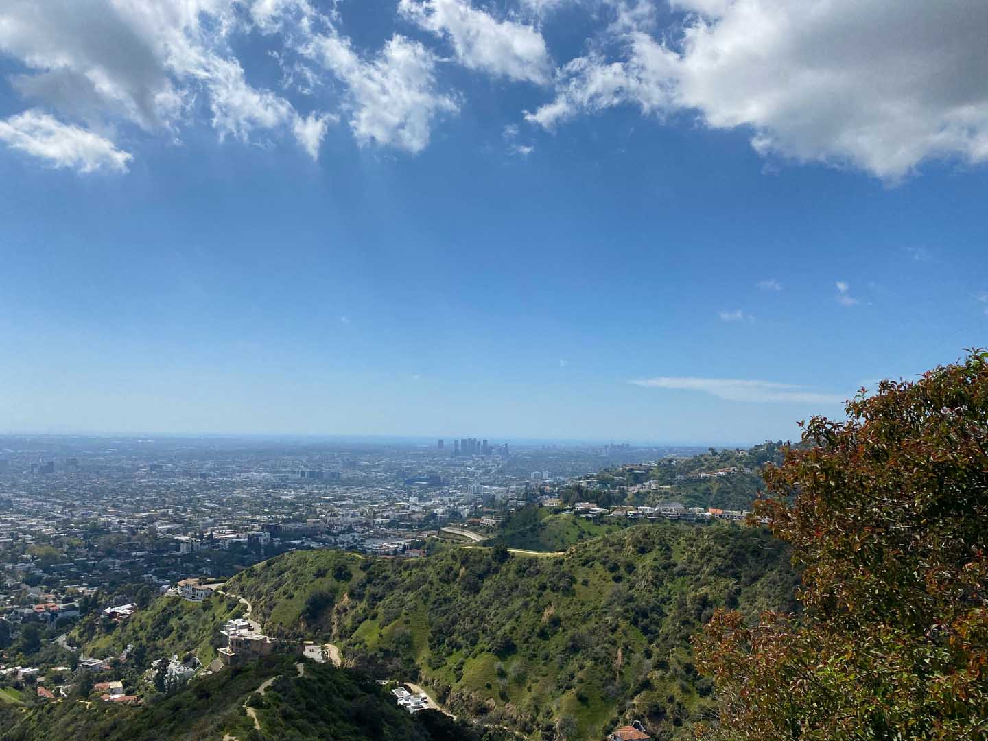 Panoramic view of Los Angeles from Griffith Park, showcasing city skyline